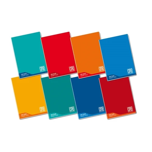 Quaderno One Linea Blu Maxi 10MM+